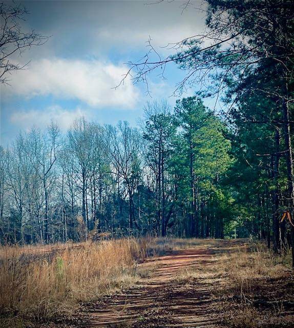 301 Ga Hwy49 - Photo 1