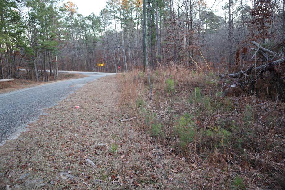 LT.515 Overland Trl. - Photo 1