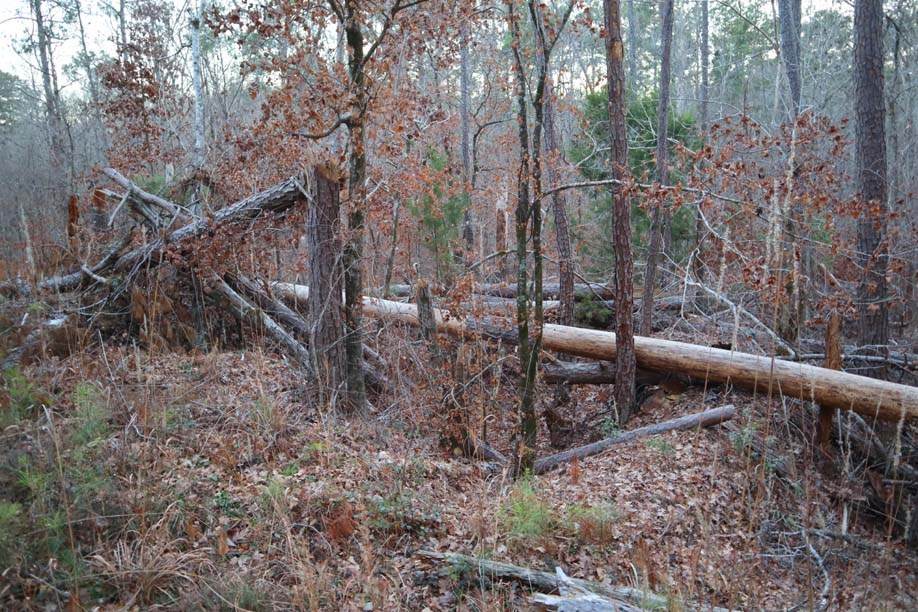 https://bt-photos.global.ssl.fastly.net/milledgeville/orig_boomver_1_56500-2.jpg