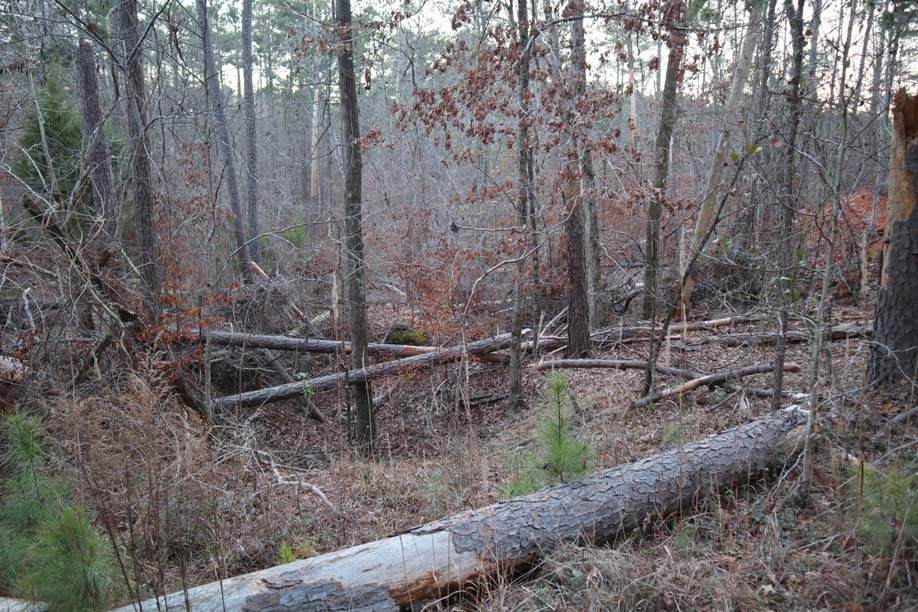 https://bt-photos.global.ssl.fastly.net/milledgeville/orig_boomver_1_56500-2.jpg