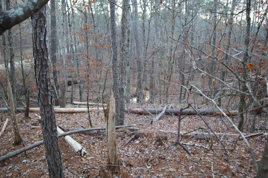 https://bt-photos.global.ssl.fastly.net/milledgeville/orig_boomver_1_56502-2.jpg