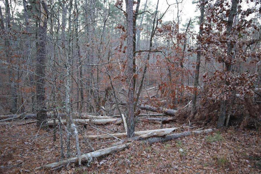 https://bt-photos.global.ssl.fastly.net/milledgeville/orig_boomver_1_56502-2.jpg
