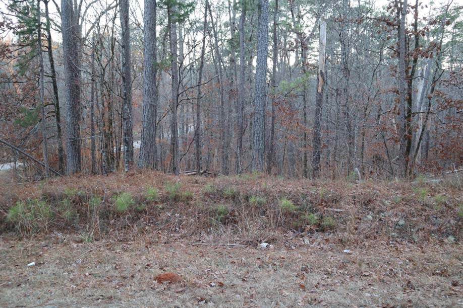 https://bt-photos.global.ssl.fastly.net/milledgeville/orig_boomver_1_56502-2.jpg