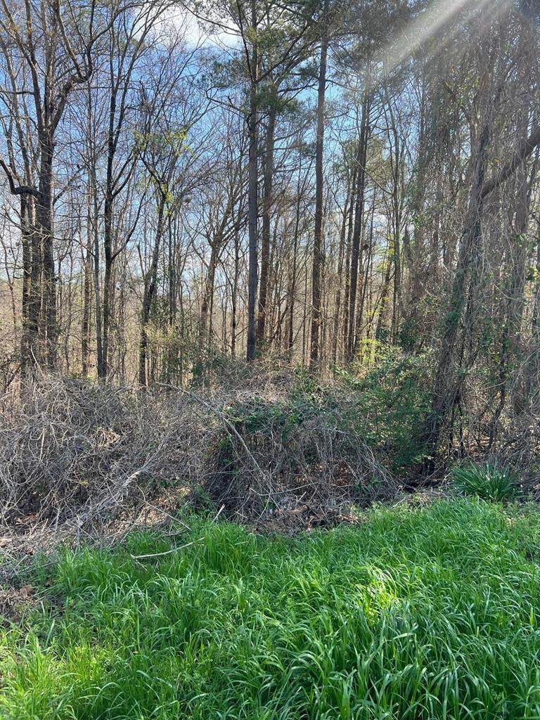250 Northridge  Drive - Photo 1
