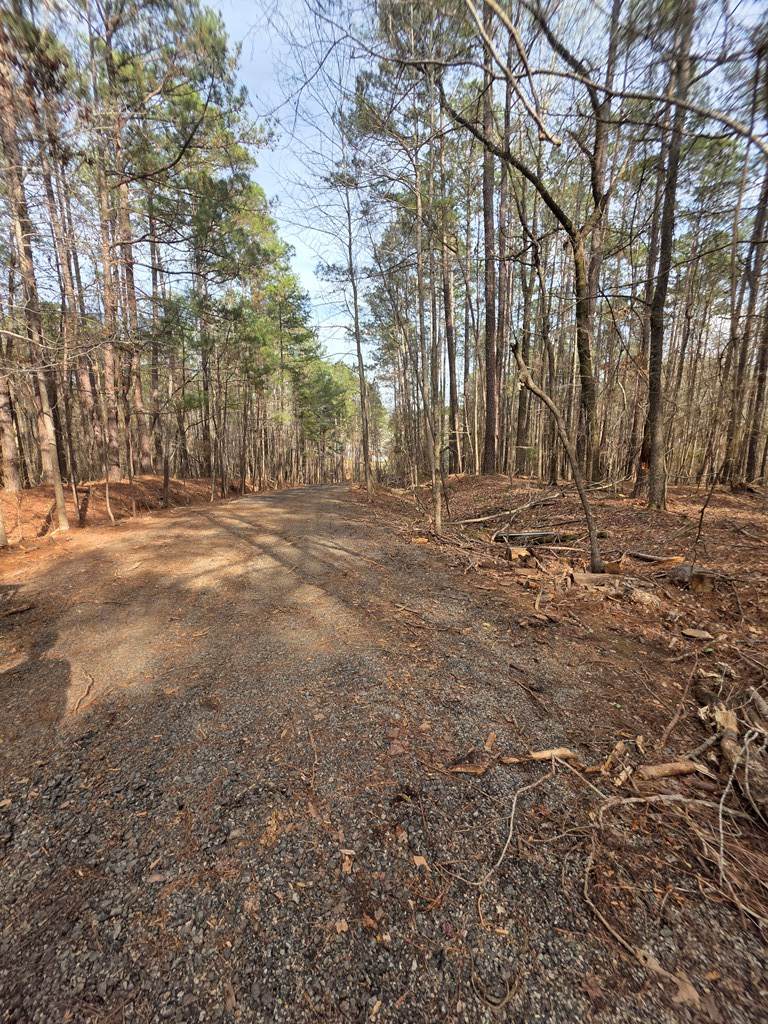 https://bt-photos.global.ssl.fastly.net/milledgeville/orig_boomver_1_56511-2.jpg