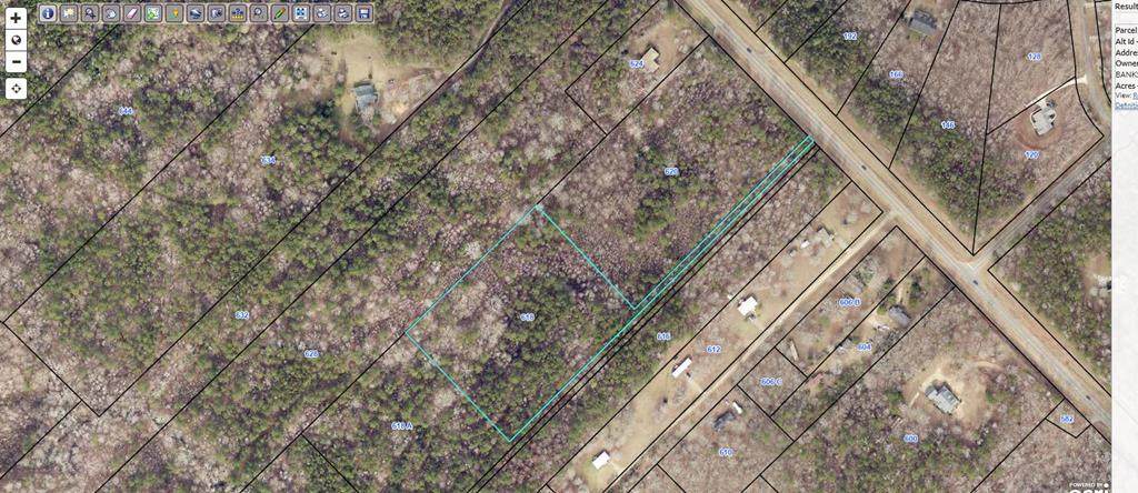 618 Georgia Highway 212 - Photo 1