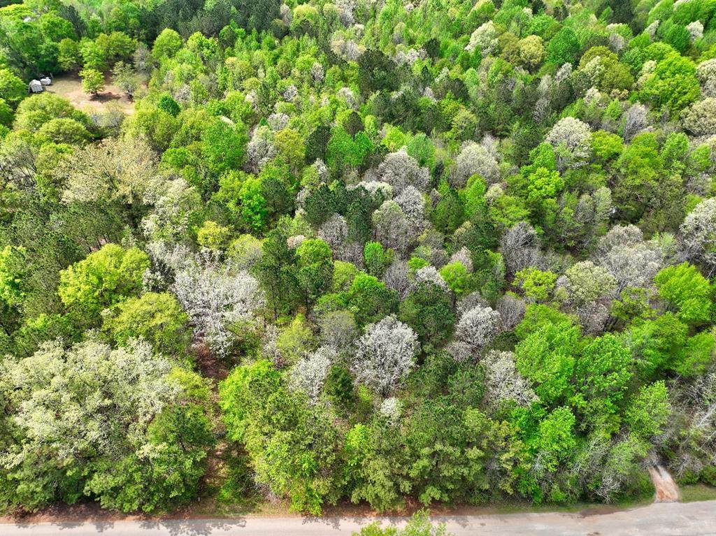 Lot 18 Shady Farms Road - Photo 1