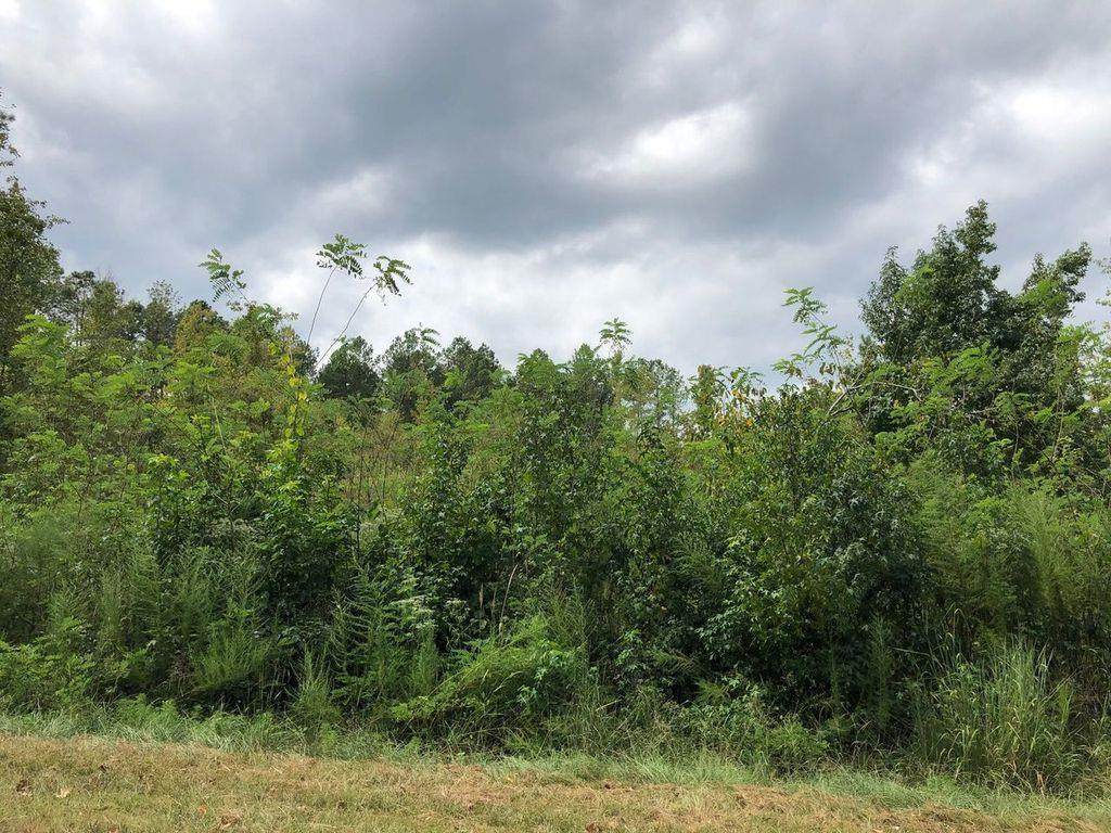 https://bt-photos.global.ssl.fastly.net/milledgeville/orig_boomver_1_56633-2.jpg