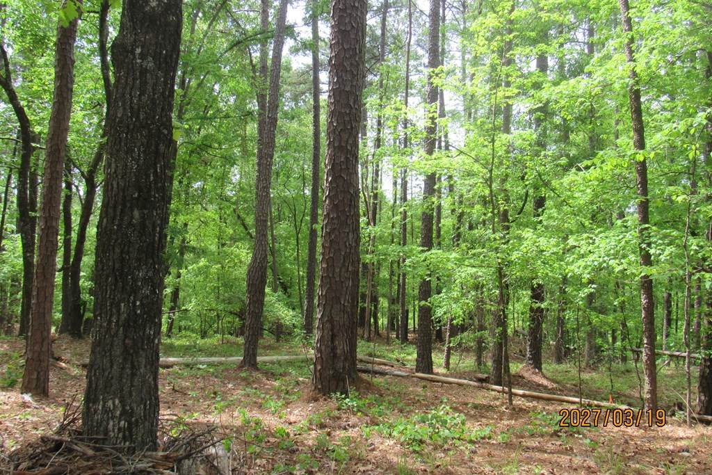 https://bt-photos.global.ssl.fastly.net/milledgeville/orig_boomver_1_56638-2.jpg