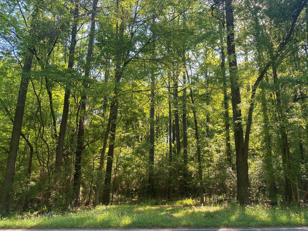 364 Turnerwoods Road - Photo 1