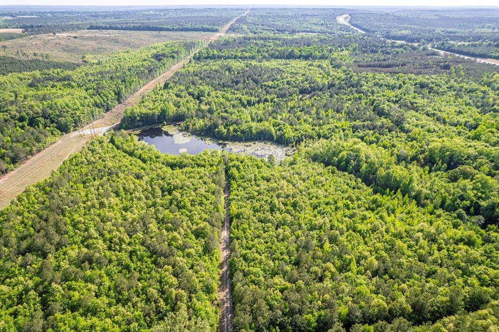 21701 Highway 441 - Photo 1