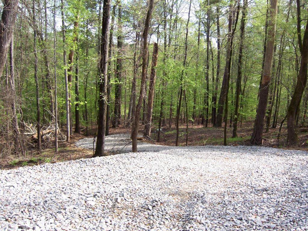 https://bt-photos.global.ssl.fastly.net/milledgeville/orig_boomver_2_56771-2.jpg