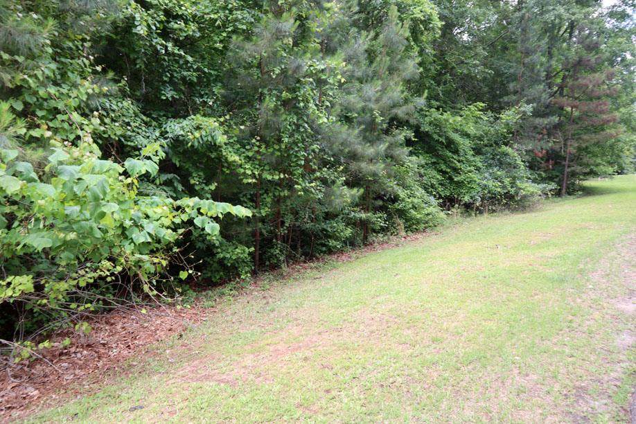 LT.103 Village Ct. - Photo 1