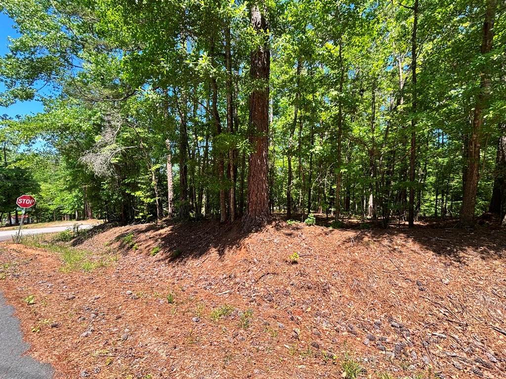 https://bt-photos.global.ssl.fastly.net/milledgeville/orig_boomver_1_56812-2.jpg