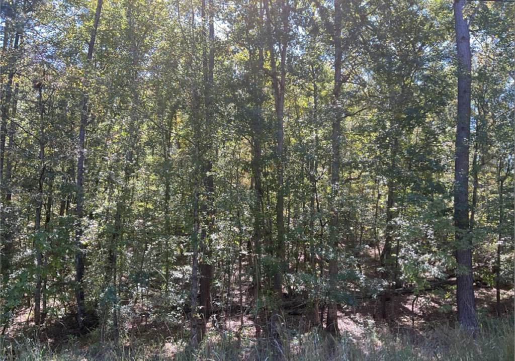 https://bt-photos.global.ssl.fastly.net/milledgeville/orig_boomver_1_56824-2.jpg