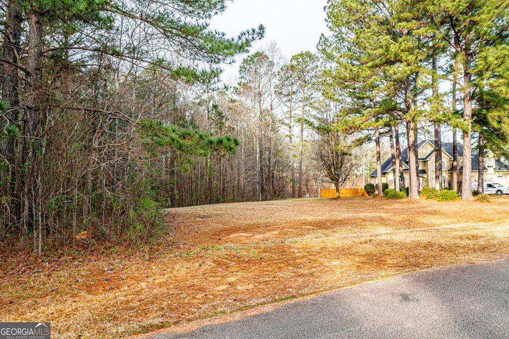 415 Darren Carson Lane - Photo 1