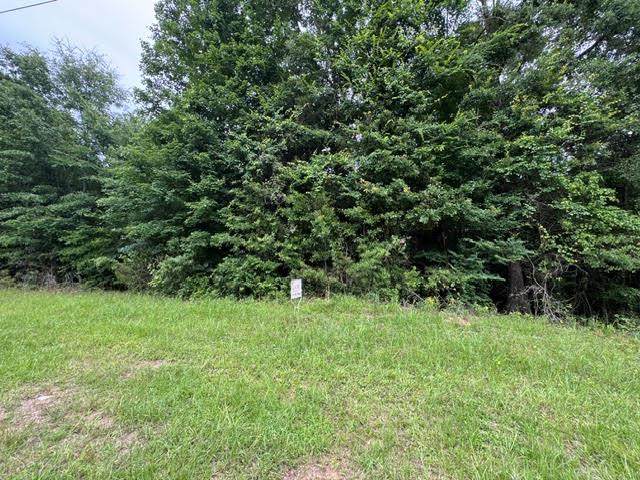000 Eatonton Road - Photo 1