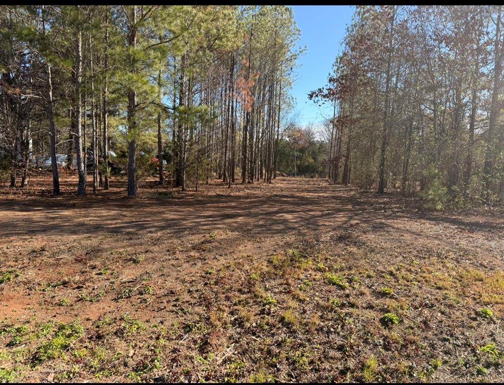 297 Amanda Drive - Photo 1