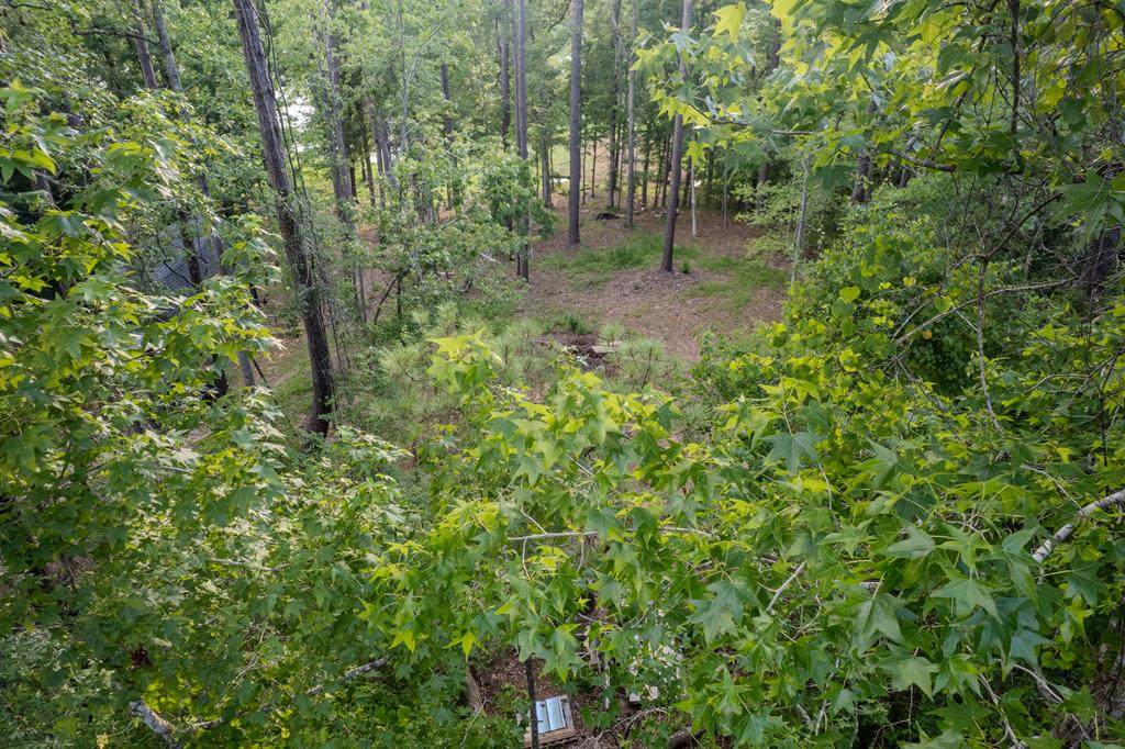 Lot 485 Cedar Dr - Photo 1
