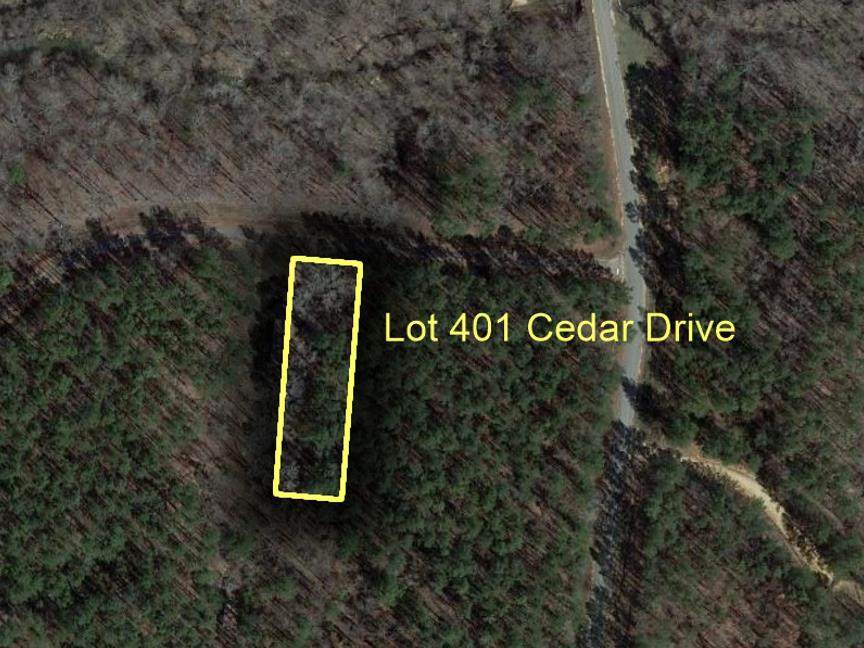 Lot 401 Cedar Drive - Photo 1