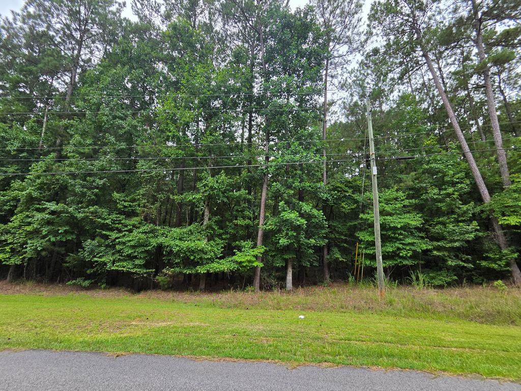 Lot 57 Lakecrest Dr - Photo 1