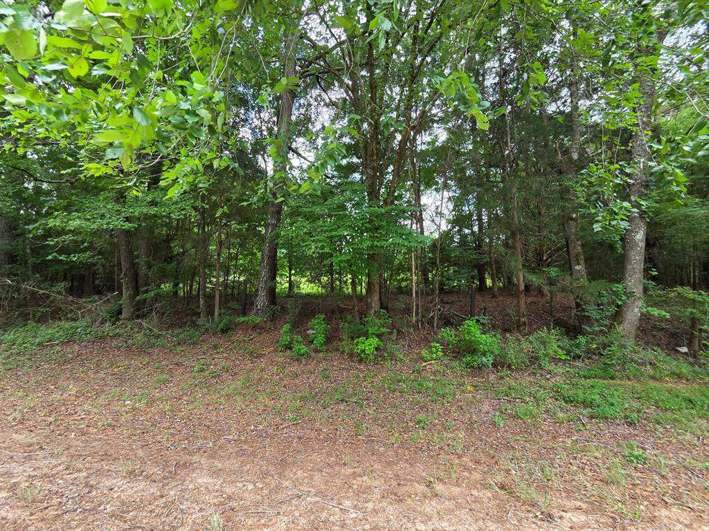 0 Hwy 16 - Photo 1