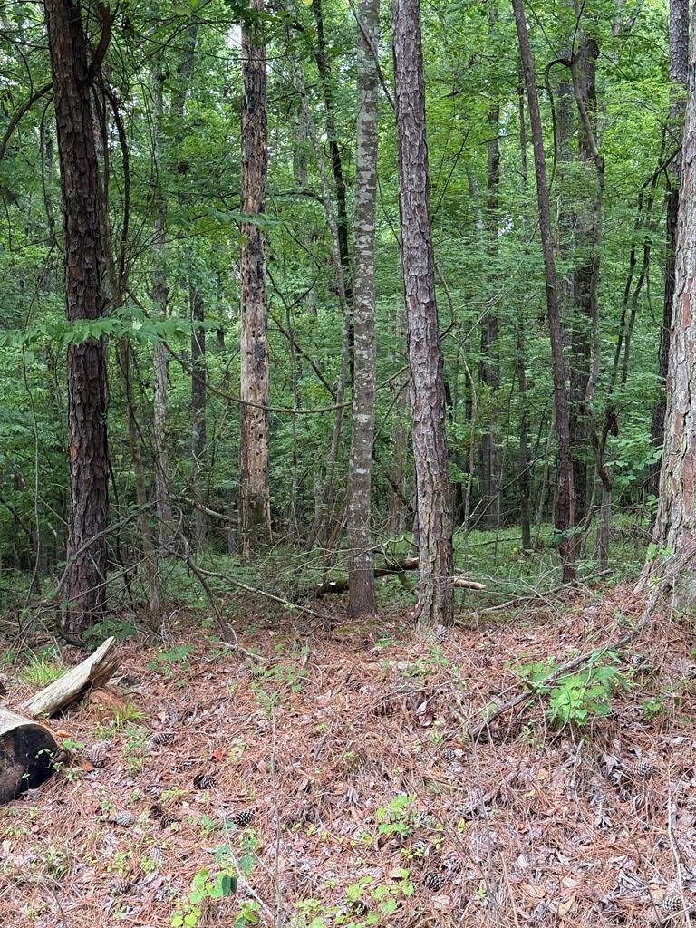 Lot 177 Laurel Way - Photo 1