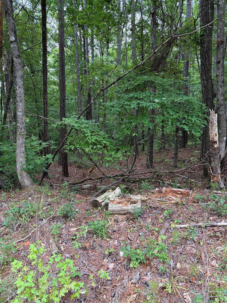 https://bt-photos.global.ssl.fastly.net/milledgeville/orig_boomver_1_57017-2.jpg