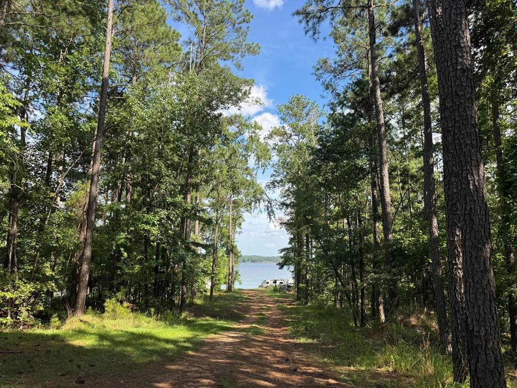 https://bt-photos.global.ssl.fastly.net/milledgeville/orig_boomver_1_57020-2.jpg
