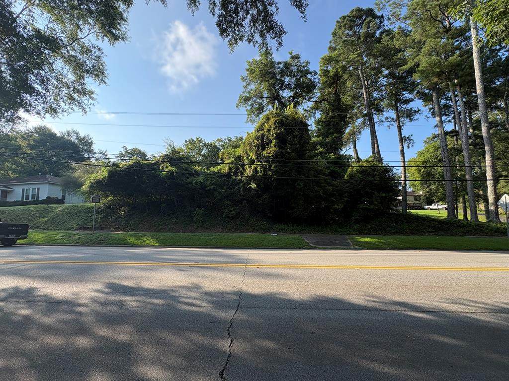309 Marion Street - Photo 1