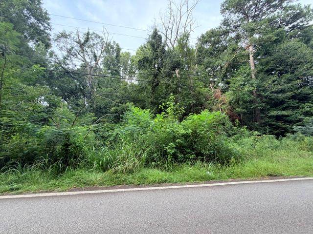 318 Little River Trail - Photo 1
