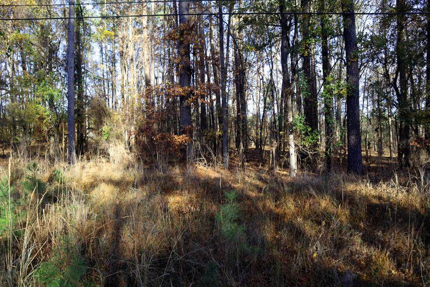 Lt.7 Lake Sinclair Dr. - Photo 1