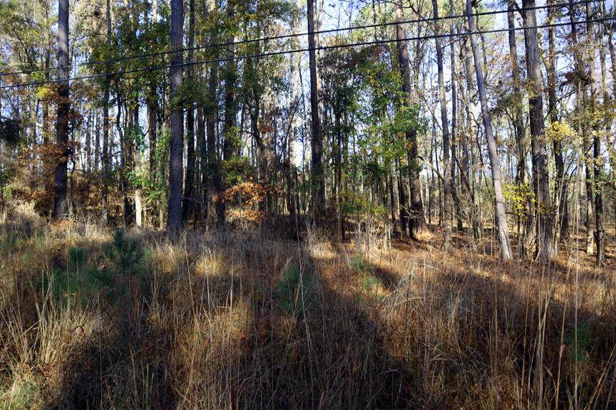 https://bt-photos.global.ssl.fastly.net/milledgeville/orig_boomver_1_57132-2.jpg