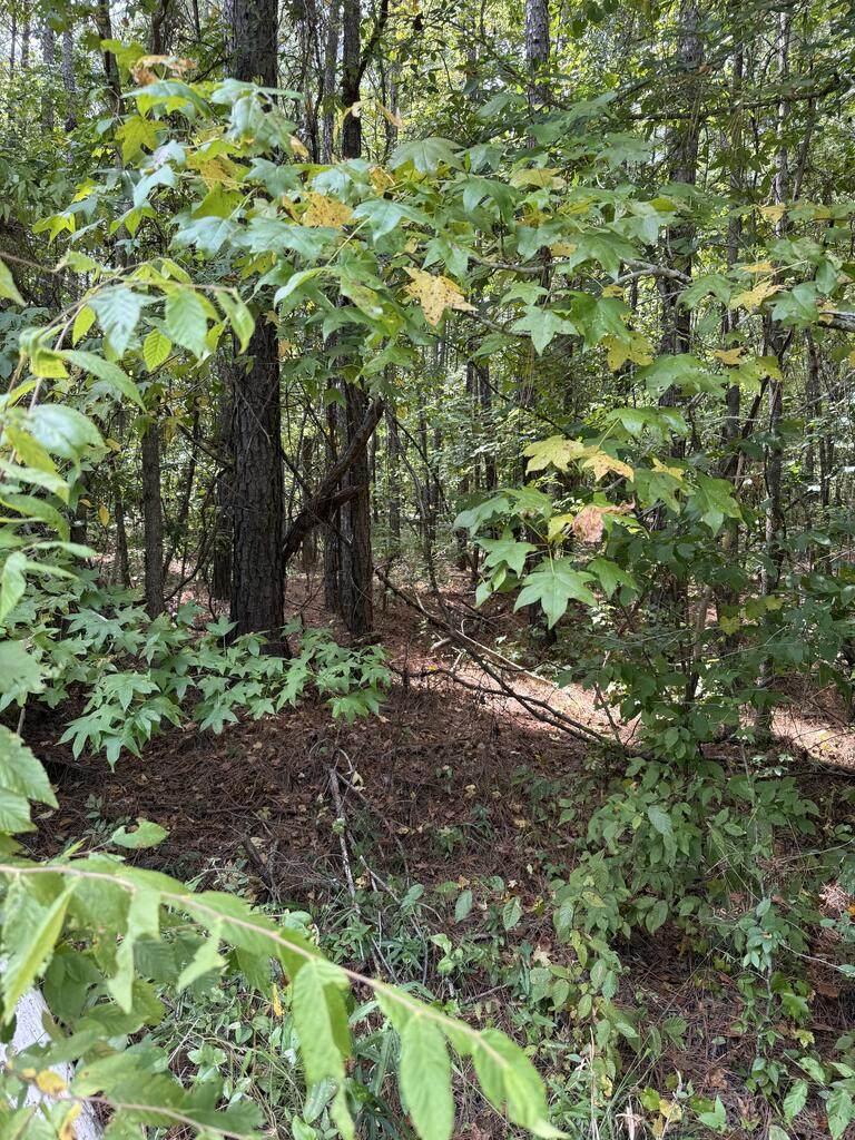 458 Willow Lake - Photo 1