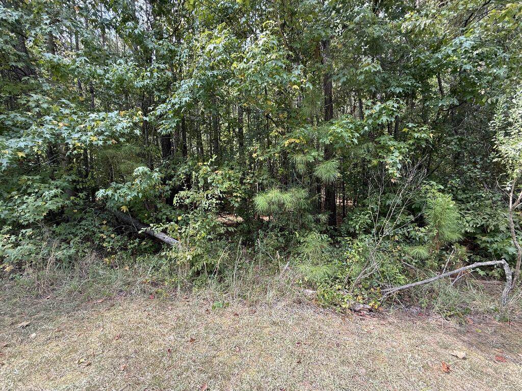 https://bt-photos.global.ssl.fastly.net/milledgeville/orig_boomver_1_57163-2.jpg