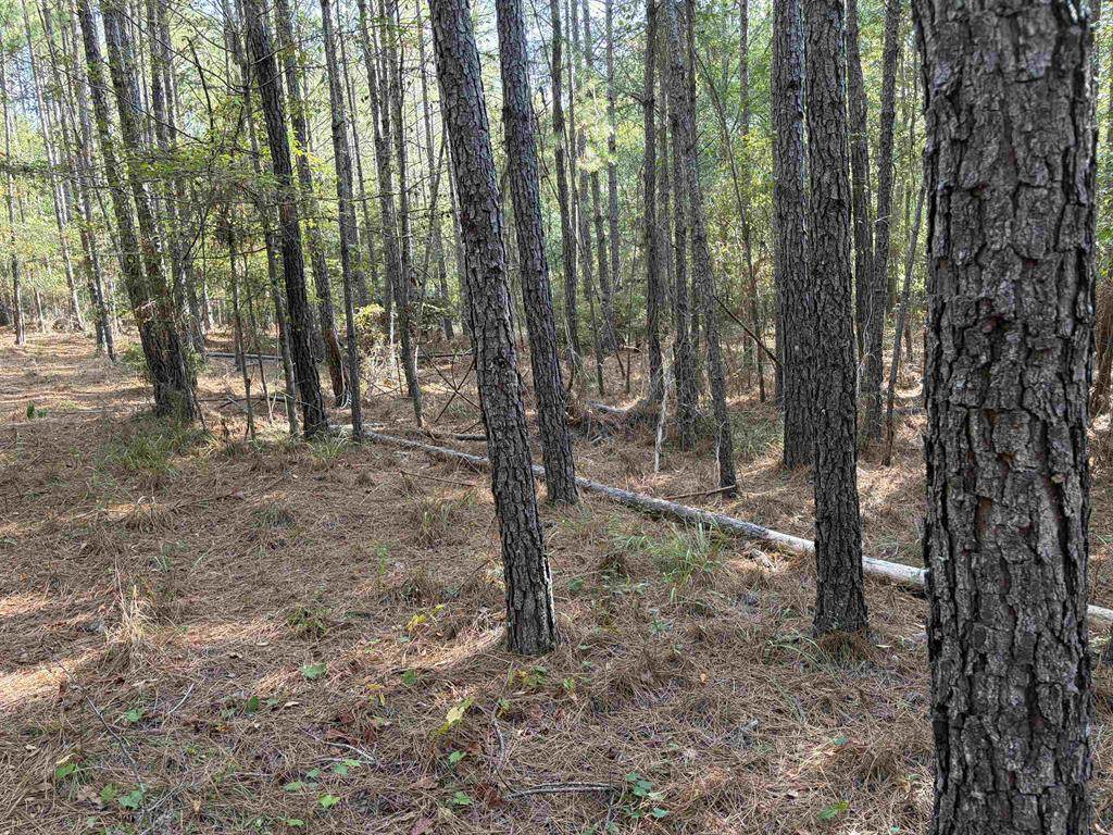 672 Twin Bridges Road - Photo 1