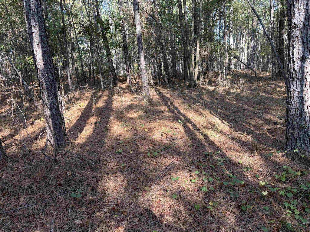 https://bt-photos.global.ssl.fastly.net/milledgeville/orig_boomver_1_57180-2.jpg