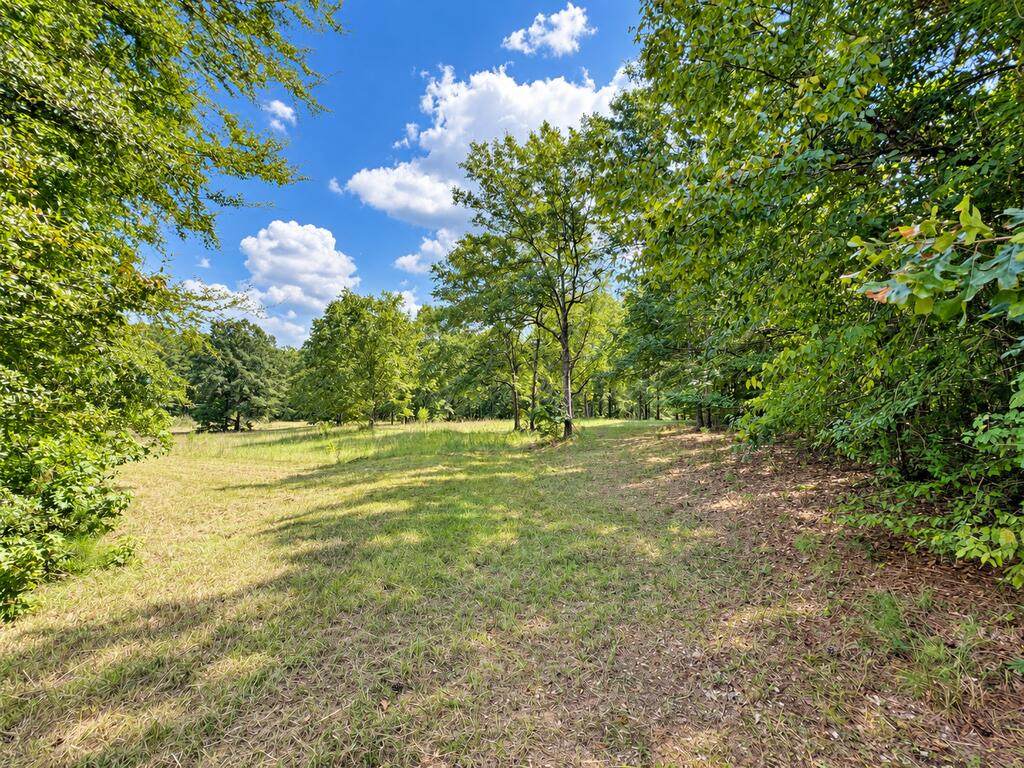 135 Bentley Drive - Photo 1