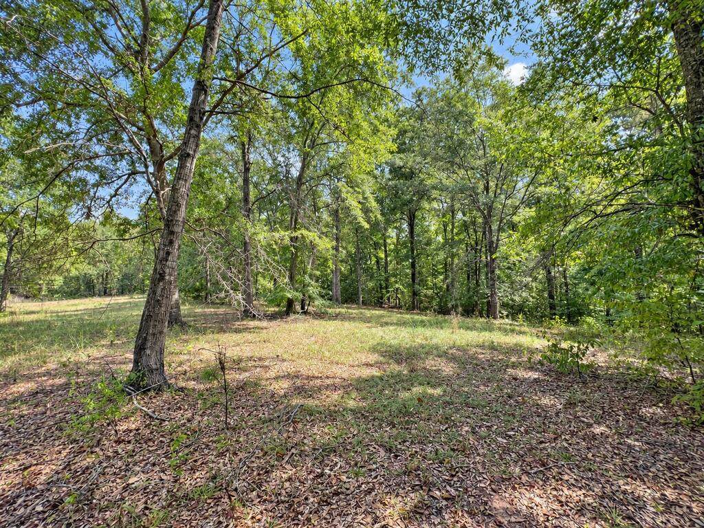 https://bt-photos.global.ssl.fastly.net/milledgeville/orig_boomver_1_57186-2.jpg