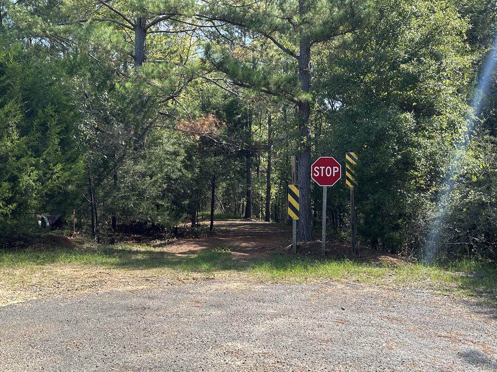 119 Hough Johnson Rd - Photo 1