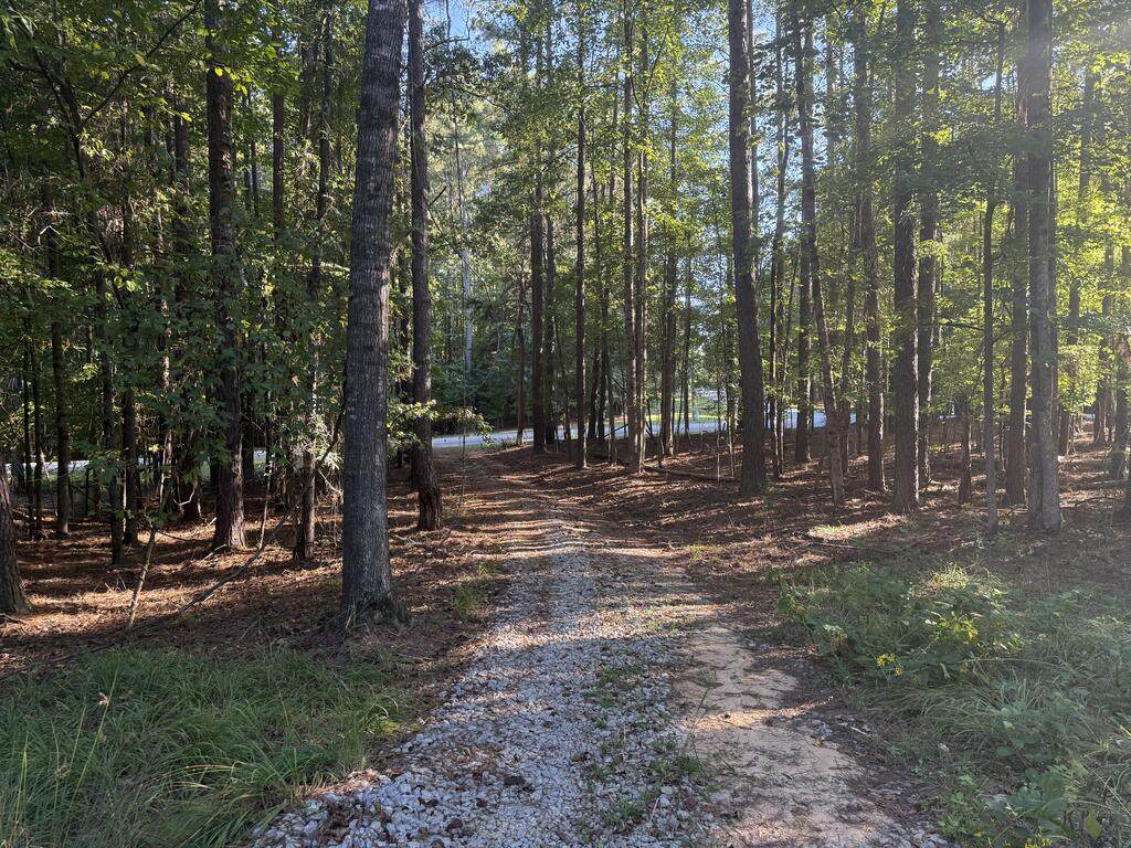 215 Rockville Springs Drive - Photo 1