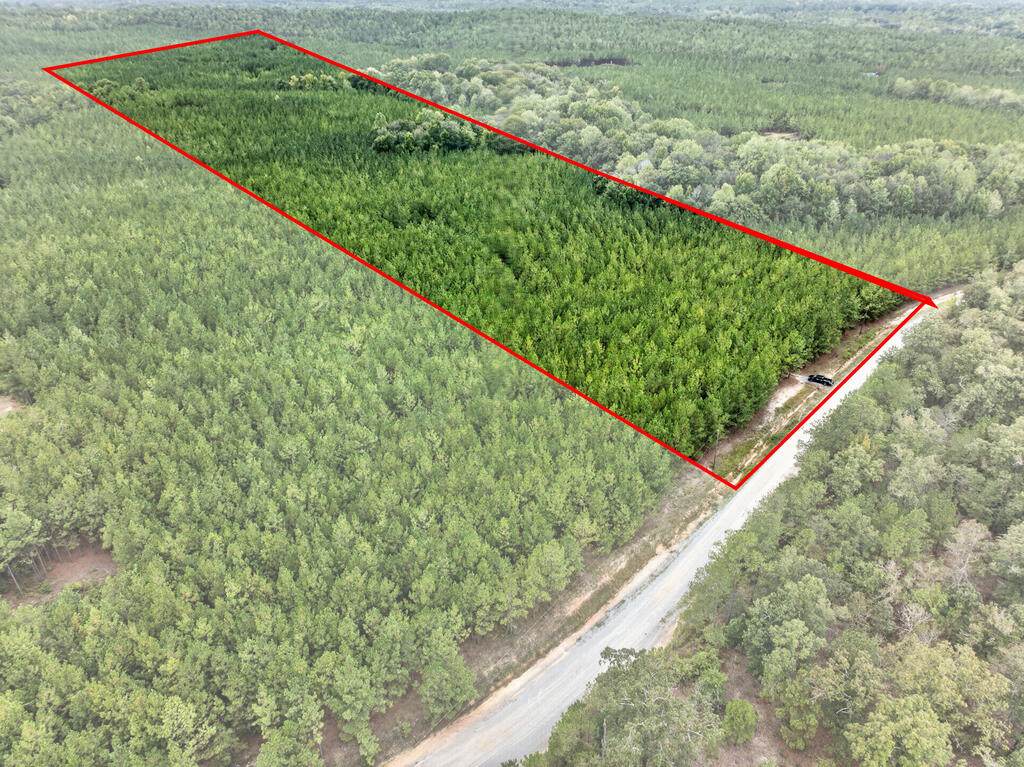 0 Black Creek Road - Photo 1