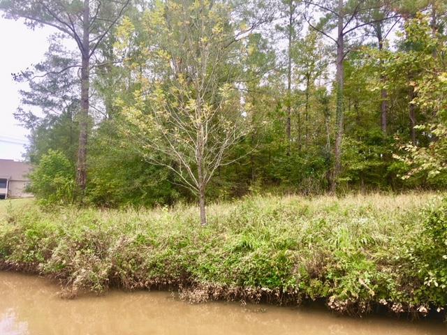 Lot 18 Anchor Pointe Drive - Photo 1