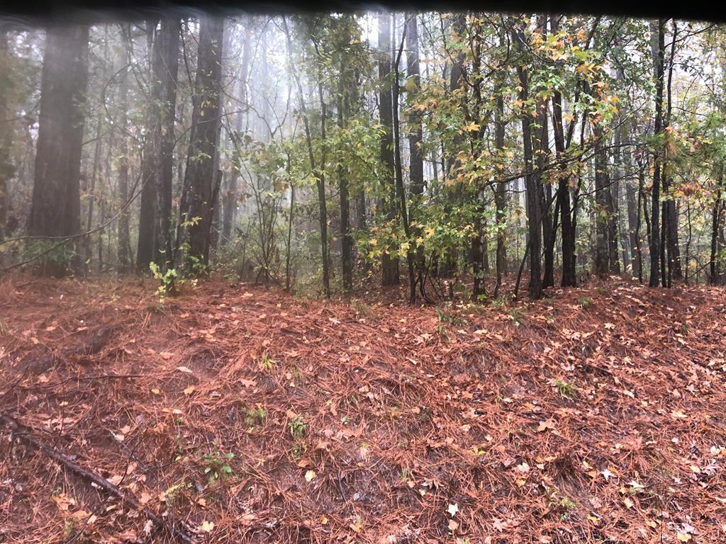 LOT 526 Overland Trail - Photo 1