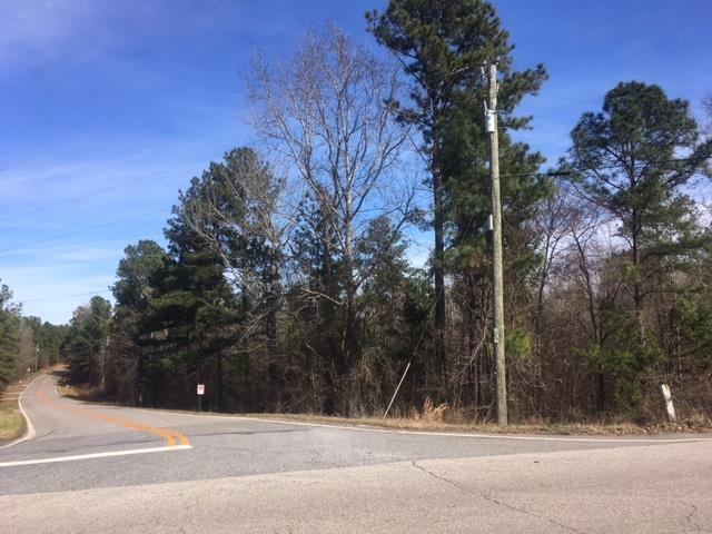 0 Milledgeville Road - Photo 1