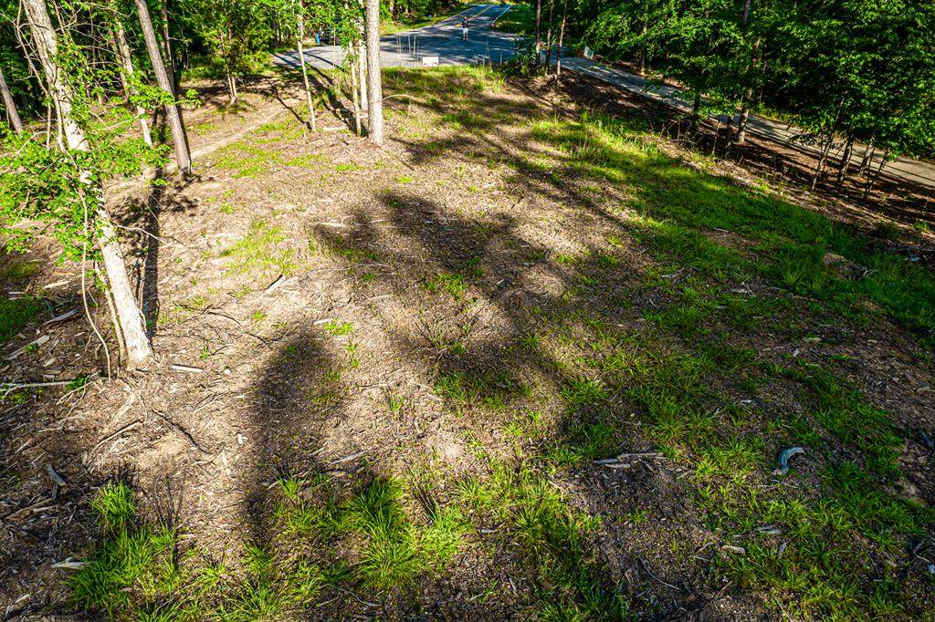 Lot 117 S Bream Ct - Photo 1