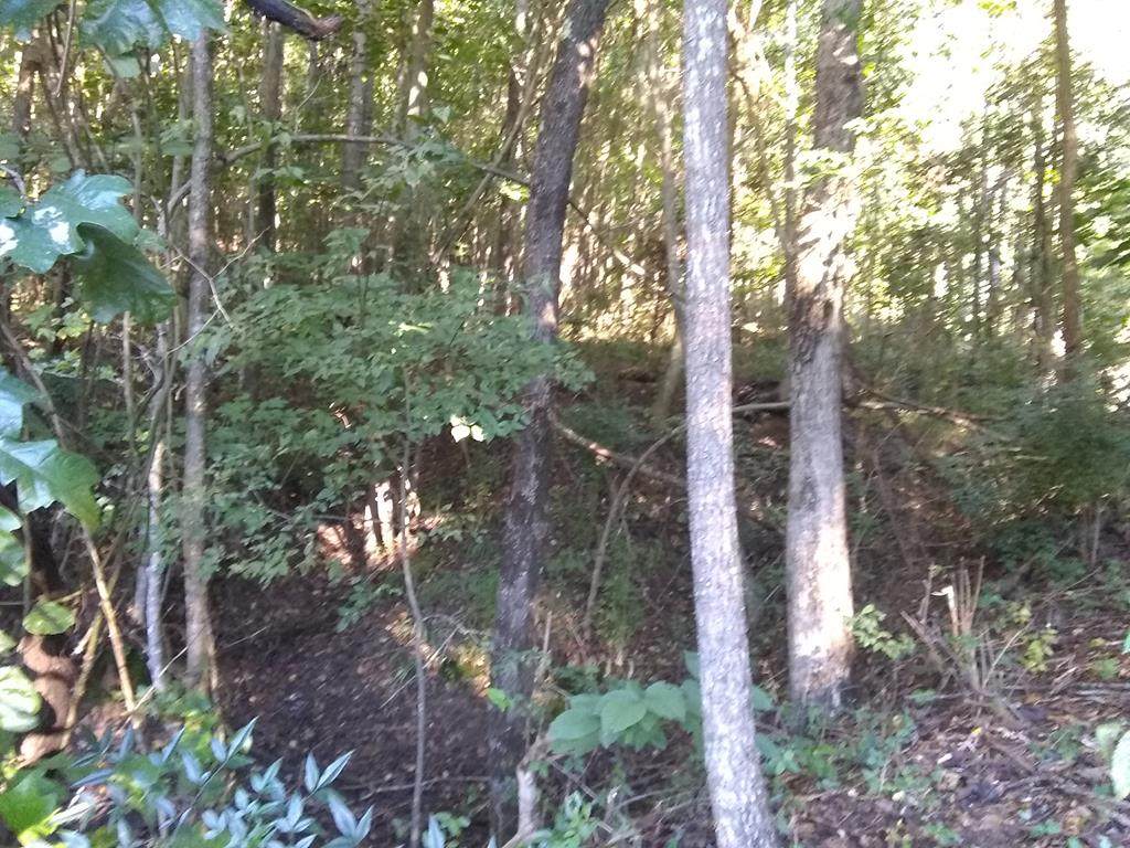 122 Shana Dr - Photo 1