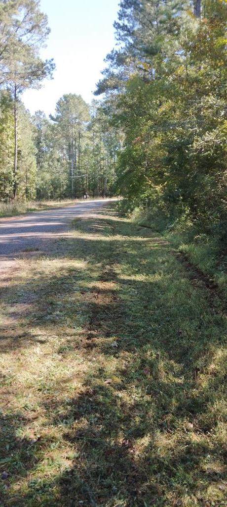Lot 400 Cedar Drive - Photo 1