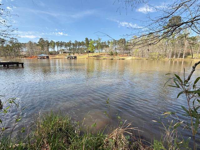 171 Bluegill Rd - Photo 1