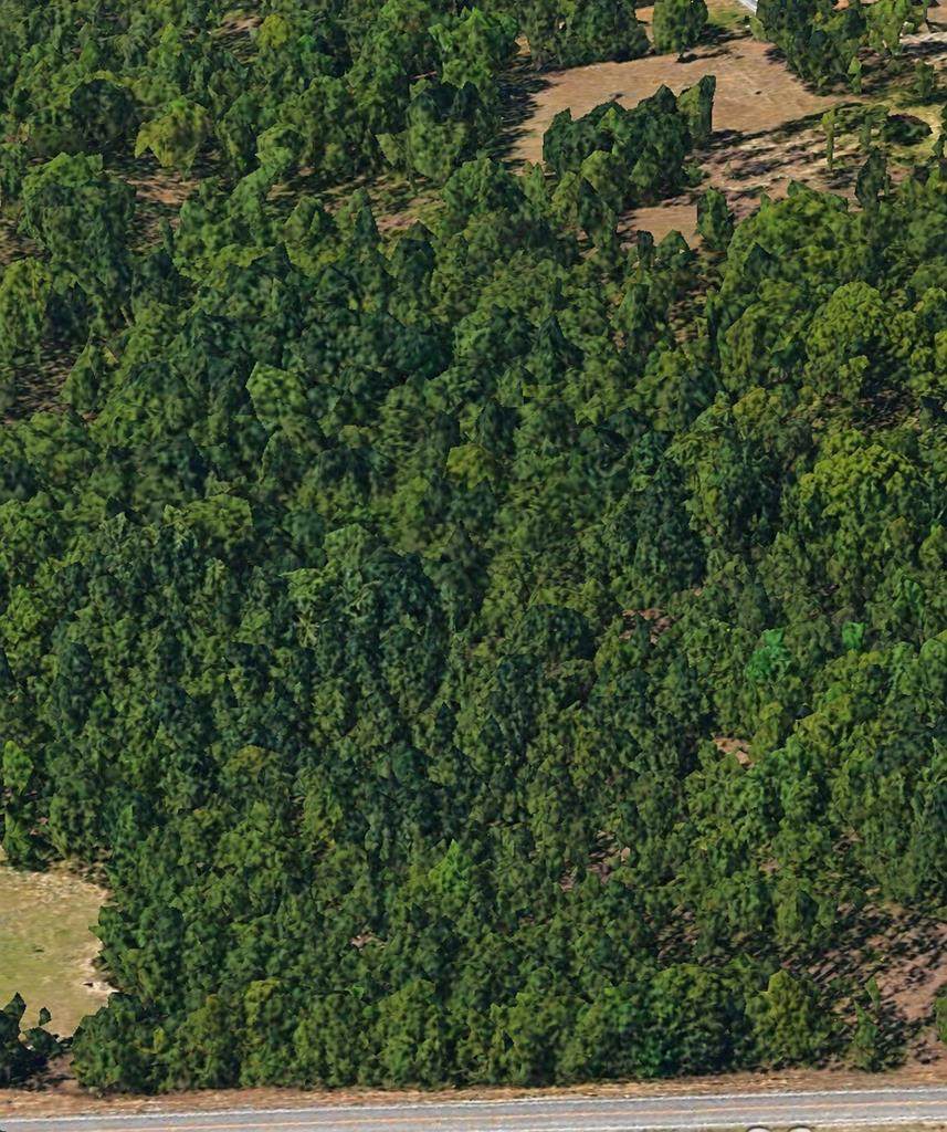 0 Ga Hwy 49 - Photo 1